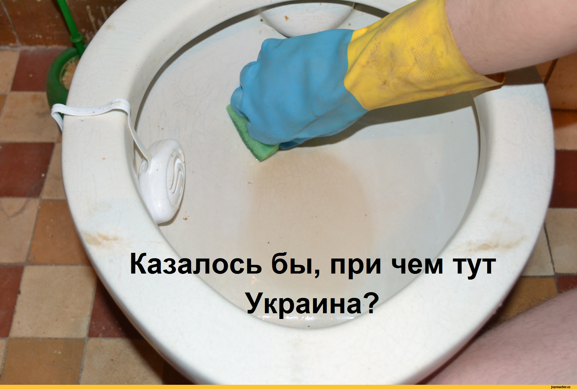 Казалось бы самое обычное. При чем тут Украина. Казалось при чем тут Украина. Коза Лось бы при чем тут Украина. Казалось причем здесь Украина.