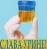 Аватара пользователя